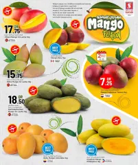 Page 4 in Mango Festival Offers at Safari Qatar