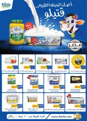 Page 11 in Anniversary Deals at Al Rayah Market Egypt