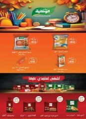 Page 16 in Anniversary Deals at Al Rayah Market Egypt