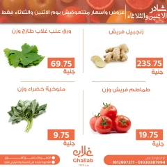 Página 18 en Ofertas de EidFresh deals en Mercados de Ghallab Egipto