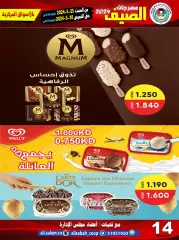 Page 14 in Summer Festival Offers at Ali Salem coop Kuwait