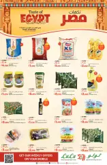 Page 1 in Flavors of Egypt deals at lulu Kuwait