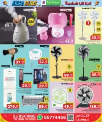 Page 13 in Mega Deals at Family Food Centre Qatar