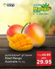 Page 8 in Mango Festival Offers at Abu Dhabi coop UAE