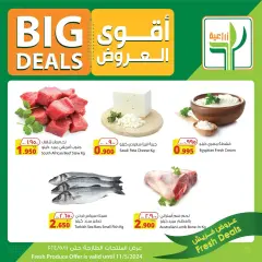 Page 3 dans Meilleures offres chez Aliments agricoles Koweït