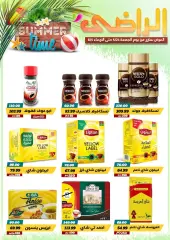 Page 11 in Hello summer offers at Al Radi Market Egypt