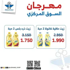 Page 19 in Central market fest offers at Al Shaab co-op Kuwait
