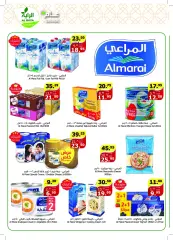 Page 7 in Amazing prices at Al Rayah Market Saudi Arabia