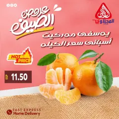 Page 12 in Summer Deals at El Mahlawy market Egypt
