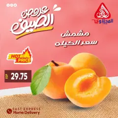 Page 15 in Summer Deals at El Mahlawy market Egypt