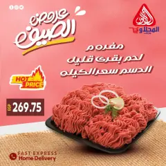 Page 23 in Summer Deals at El Mahlawy market Egypt