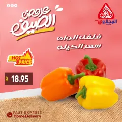 Page 8 in Summer Deals at El Mahlawy market Egypt