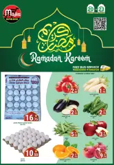 Page 8 in Ramadan offers at Majlis Shopping Centre Qatar