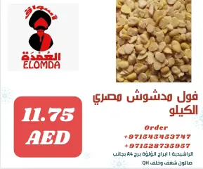 صفحة 176 ضمن منتجات مصرية في أسواق العمدة الإمارات