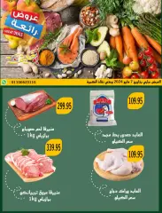 Page 3 in Saving offers at Abu Khalifa Market Egypt