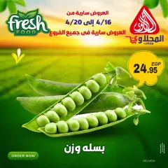 Página 6 en Ofertas frescas en Mercado El Mahlawy Egipto