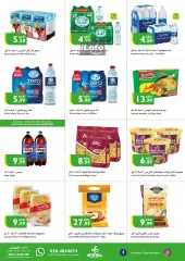 Página 6 en Ofertas de fin de semana en supermercado Istanbul Emiratos Árabes Unidos