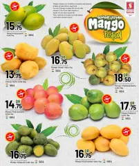Page 3 in Mango Festival Offers at Safari Qatar