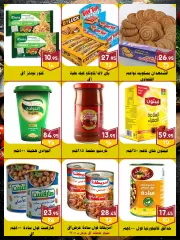 Page 25 in Spring offers at Al Bader markets Egypt