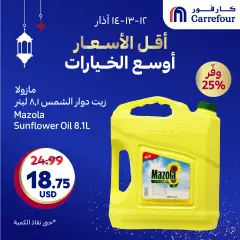 Page 4 in Offers the lowest prices and widest choices at Carrefour Lebanon