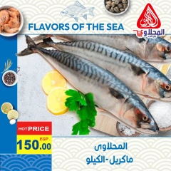 Page 5 in Fish Deals at El Mahlawy market Egypt