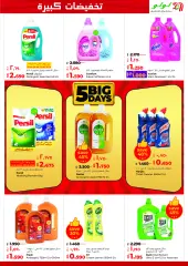 Page 21 in Big 5 Days offers at lulu Kuwait