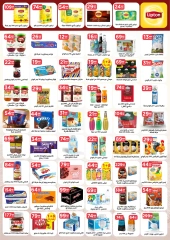 Page 13 in August Offers at El Mahlawy Stores Egypt