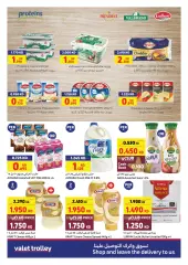 Page 3 dans Des prix incroyables et des offres spéciales chez Carrefour Koweït