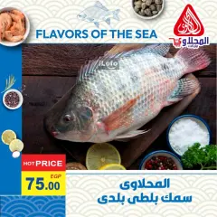 Page 8 in Fish Deals at El Mahlawy market Egypt