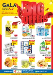 Page 1 in BIG OFFERS at Gala UAE