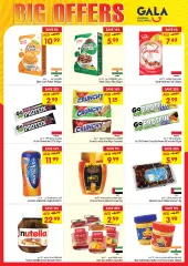 Page 14 in BIG OFFERS at Gala UAE