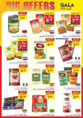 Page 16 in BIG OFFERS at Gala UAE