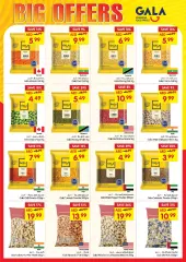 Page 17 in BIG OFFERS at Gala UAE