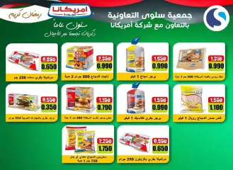Page 3 in March Festival Offers at Salwa co-op Kuwait
