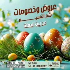 Page 1 in Spring offers at Gomla House Egypt