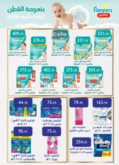 Page 21 in Frozen Offers at Al Rayah Market Egypt