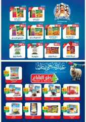Page 16 in Eid Al Adha offers at Bashaer Egypt