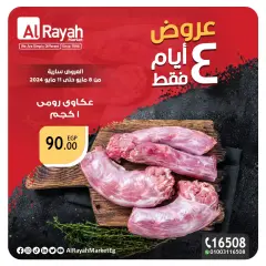 Page 5 in Best offers at Al Rayah Market Egypt