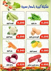 Page 3 in Vegetable and fruit offers at Al Daher coop Kuwait