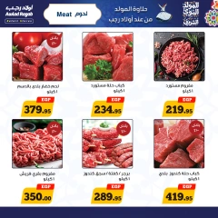 Página 4 en Ofertas de Mawlid al-Nabawi en Awlad Ragab Egipto