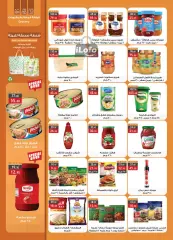 Page 13 in Frozen Offers at Al Rayah Market Egypt