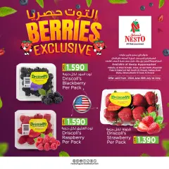 Page 1 dans Offres exclusives de baies chez Nesto le sultanat d'Oman
