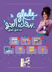 Page 13 in Big Deals at Al Rayah Market Egypt