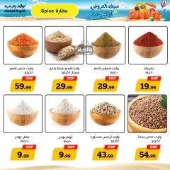 Página 11 en ofertas de verano en Awlad Ragab Egipto