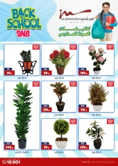 Page 25 in Back to School offers at Al Morshedy Egypt