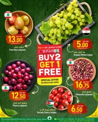 Page 4 dans Achetez-en 2, obtenez-en 1 gratuit chez SPAR Qatar