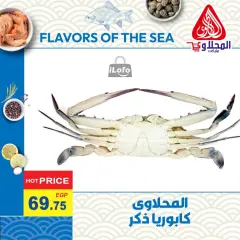 Page 3 in Fish Deals at El Mahlawy market Egypt