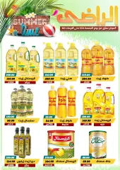 Page 4 in Hello summer offers at Al Radi Market Egypt