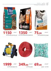 Page 55 in Fruits Festival Deals at Hyperone Egypt