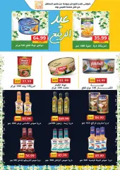 Page 22 in spring offers at AlSultan Egypt
